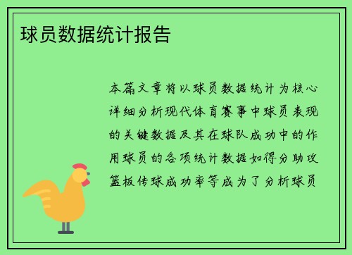 球员数据统计报告